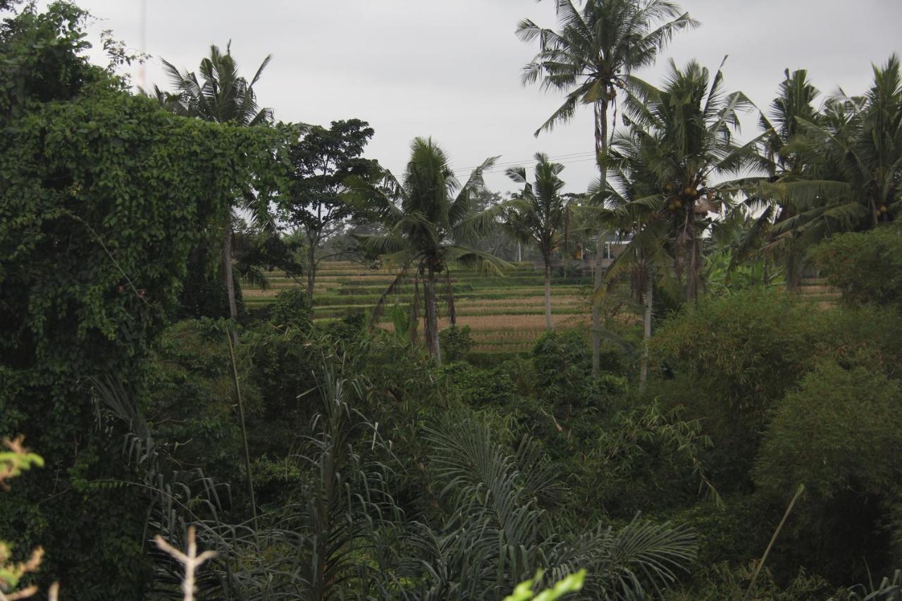 Ogek Home Stay Ubud  Exterior photo